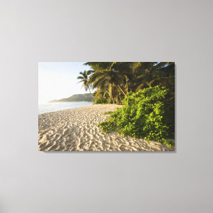 Seychellen, Mahe-Insel, Anse Marie-Louise Leinwanddruck