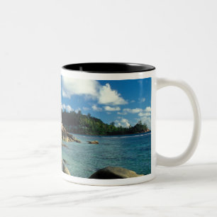 Seychellen, Mahe-Insel, Anse Royale Beach. 3 Zweifarbige Tasse