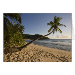 Seychellen, Mahe-Insel, Anse Takamaka Strand,