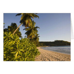 Seychellen, Mahe-Insel, Anse Takamaka Strand,