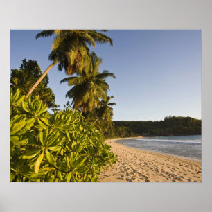 Seychellen, Mahe-Insel, Anse Takamaka-Strand, Poster