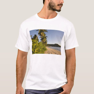 Seychellen, Mahe-Insel, Anse Takamaka-Strand, T-Shirt