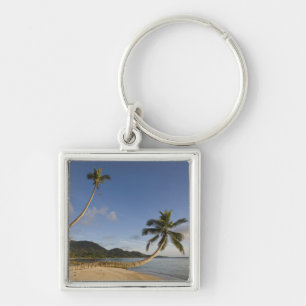Seychellen, Mahe-Insel, horizontale Palme, Schlüsselanhänger
