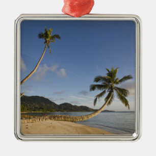 Seychellen, Mahe-Insel, horizontale Palme, Silbernes Ornament