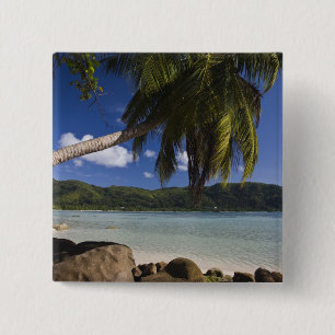 Seychellen, Mahe Island, Anse a la Mouche Button