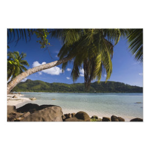 Seychellen, Mahe Island, Anse a la Mouche Fotodruck