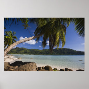 Seychellen, Mahe Island, Anse a la Mouche Poster