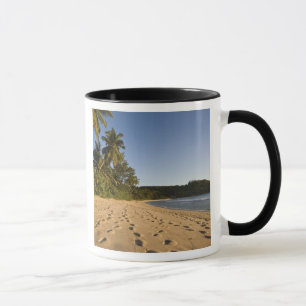 Seychellen, Mahe Island, Strand Anse Takamaka, 2 Tasse