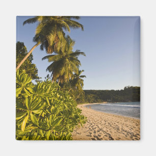 Seychellen, Mahe Island, Strand Anse Takamaka, Magnet