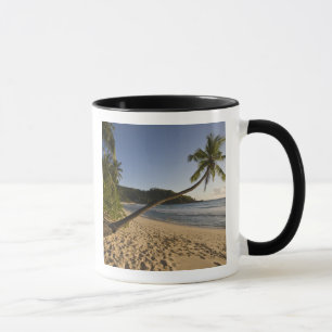 Seychellen, Mahe Island, Strand Anse Takamaka, Tasse