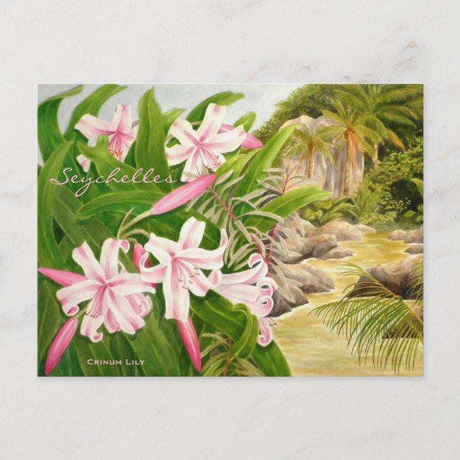 Seychelles Lily Postkarte (Vorderseite)
