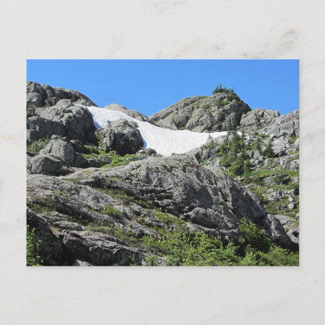 Seymour View Postkarte (Vorderseite)