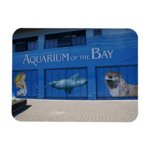 SF Aquarium der Bay Magnet