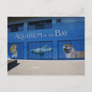 SF Aquarium of the Bay Postcard Postkarte