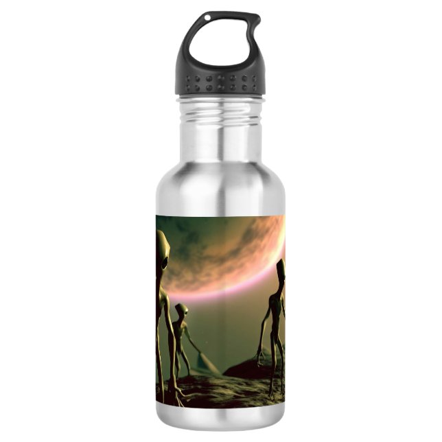 SF Grau Außerirdischen 2 Edelstahlflasche (Vorderseite)