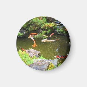 SF Jardin japonais de thé Koi Pond #1 Magnet