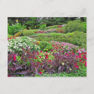 SG Landscape Postcard #40N  040 Postkarte