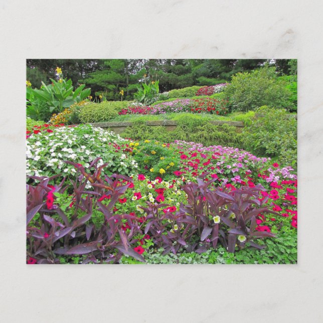 SG Landscape Postcard #40N  040 Postkarte (Vorderseite)