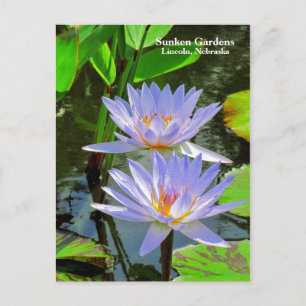 SG Pair of BLUE Water lilies #100 00100 Postkarte