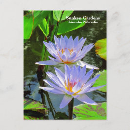 SG Pair of BLUE Water lilies #100 00100 Postkarte
