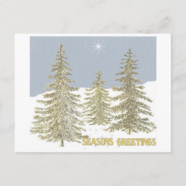 SG-Trees & Star Postkarte (Vorderseite)