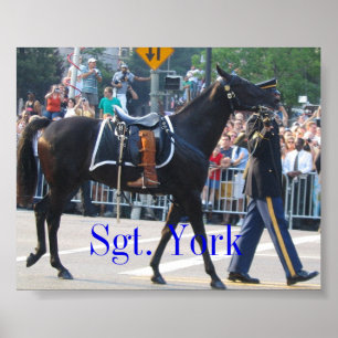 Sgt. York Das Riderless Pferd Poster