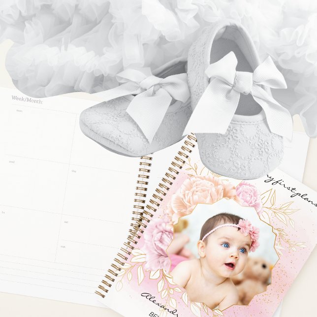 Shabby Chic Baby Girl First Year Scrapbook Album (Créateur téléchargé)