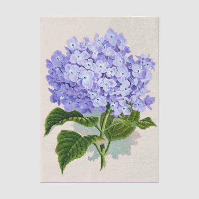 Shabby Chic Pastel Violet Lila Blumen Seidenpapier (Vorderseite)
