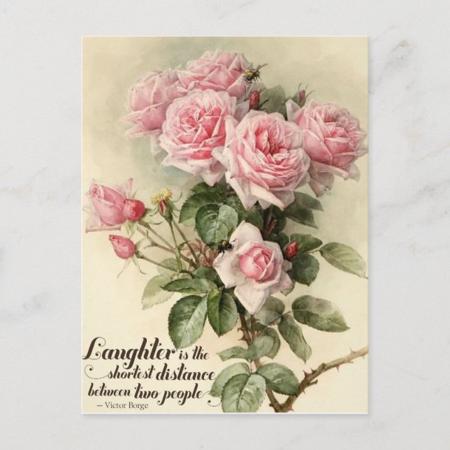 Shabby Chic Rosa Viktorianische Rose Postkarte (Vorderseite)
