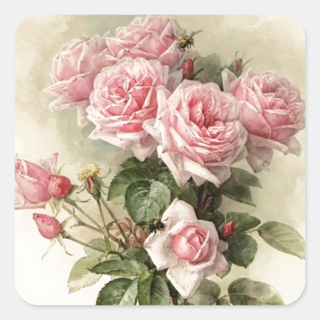 Shabby Chic Rosa Viktorianische Rose Quadratischer Aufkleber (Vorderseite)