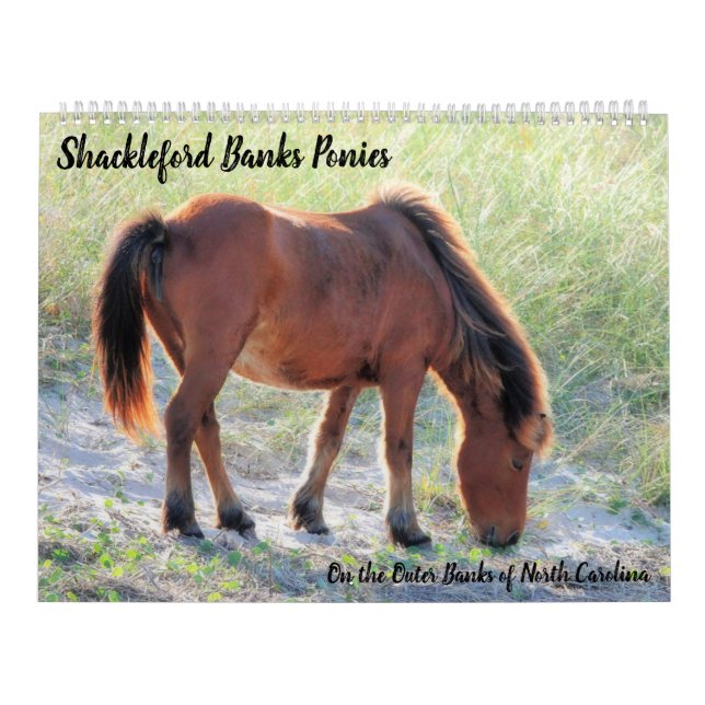 Shackleford Banks Ponys Kalender (Titelbild)