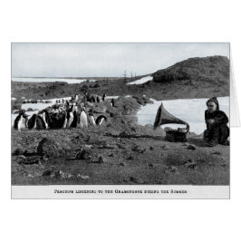 Shackleton im antarktischen Grammophon mit