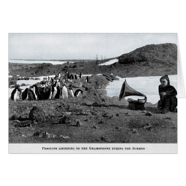 Shackleton im antarktischen Grammophon mit (Vorderseite (Horizontal))