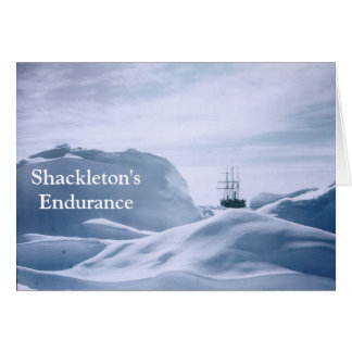 Shackletons Ausdauer