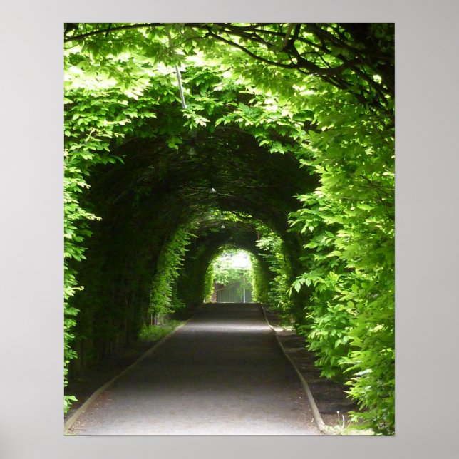 Shaded Botanic Garden Arbor Poster (Vorne)