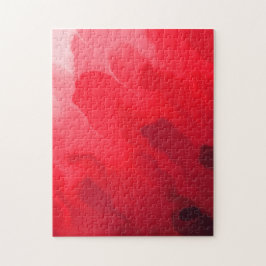 Shades of Red Mix