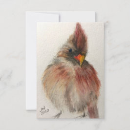 Shadow Red Kardinal Note Card Dankeskarte