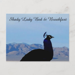 Shady Lady Bed & Breakfast Postkarte