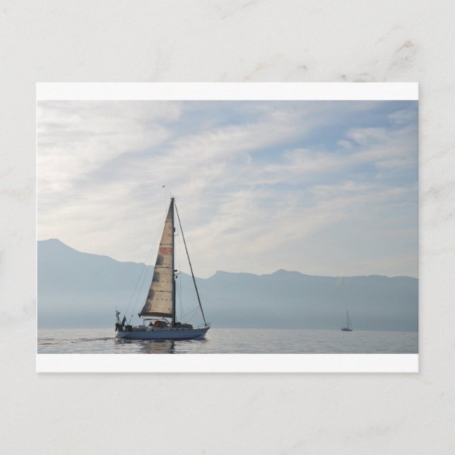Shady Lady Postkarte (Vorderseite)