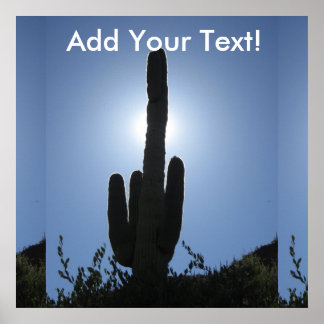 Shady Saguaro Poster