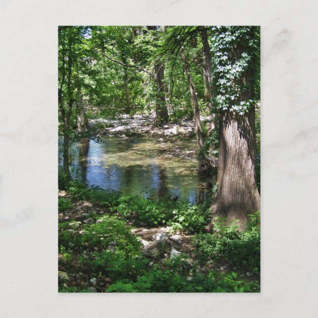 Shady Texas Creek Postkarte (Vorderseite)