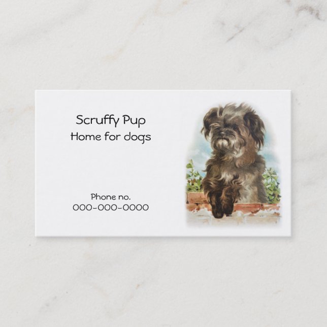 Shaggy HundeVisitenkarte Visitenkarte (Vorderseite)
