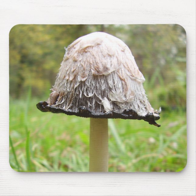 Shaggy Ink Cap Mushroom Mouse Mat Mousepad (Vorne)