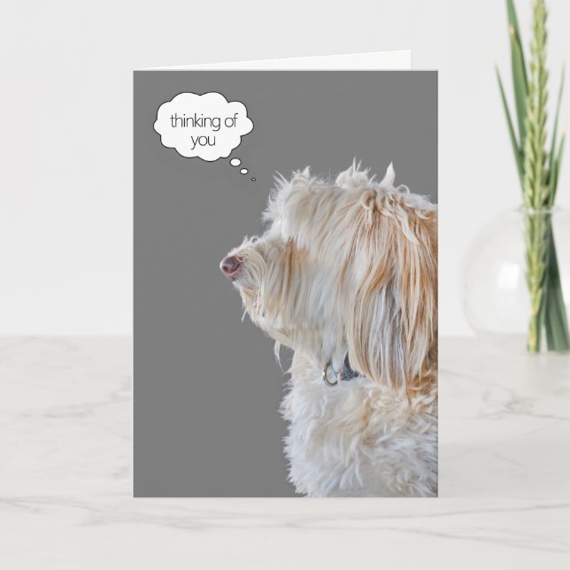 Shaggy Poodle Portrait Denken Sie an Sie Karte (Vorderseite)