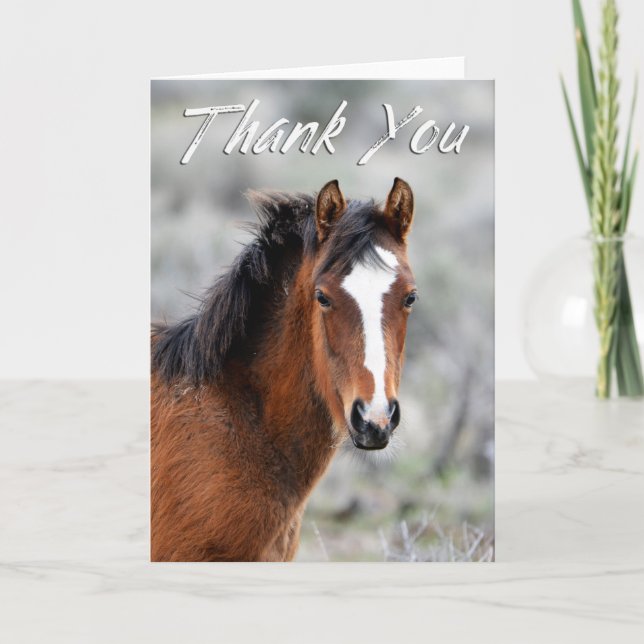 Shaggy Wild Mustang Photo Carte de remerciements (Devant)