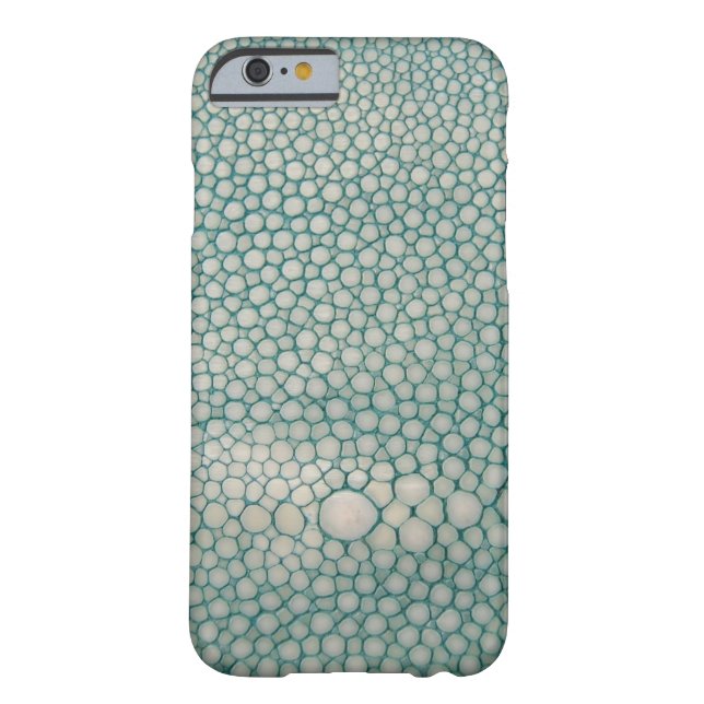 Shagreen Seafoam Grün Case-Mate iPhone Hülle (Rückseite)