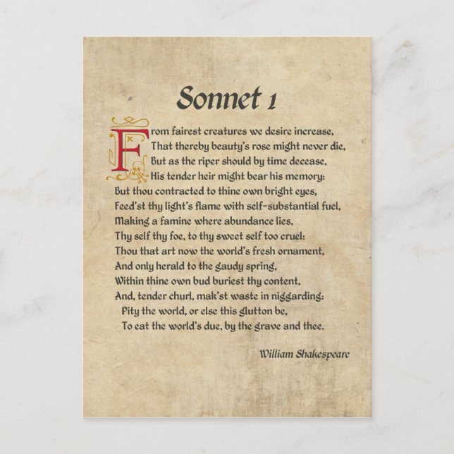 Shakespeare Sonnet 1 Parchment Postkarte (Vorderseite)