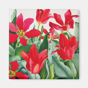 Shakespeare-Tulpen Magnet