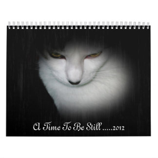 Shakira 2012 Kalender! Kalender