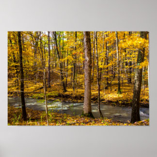 Shale Hollow im Herbst, Lewis Centre, Ohio Poster